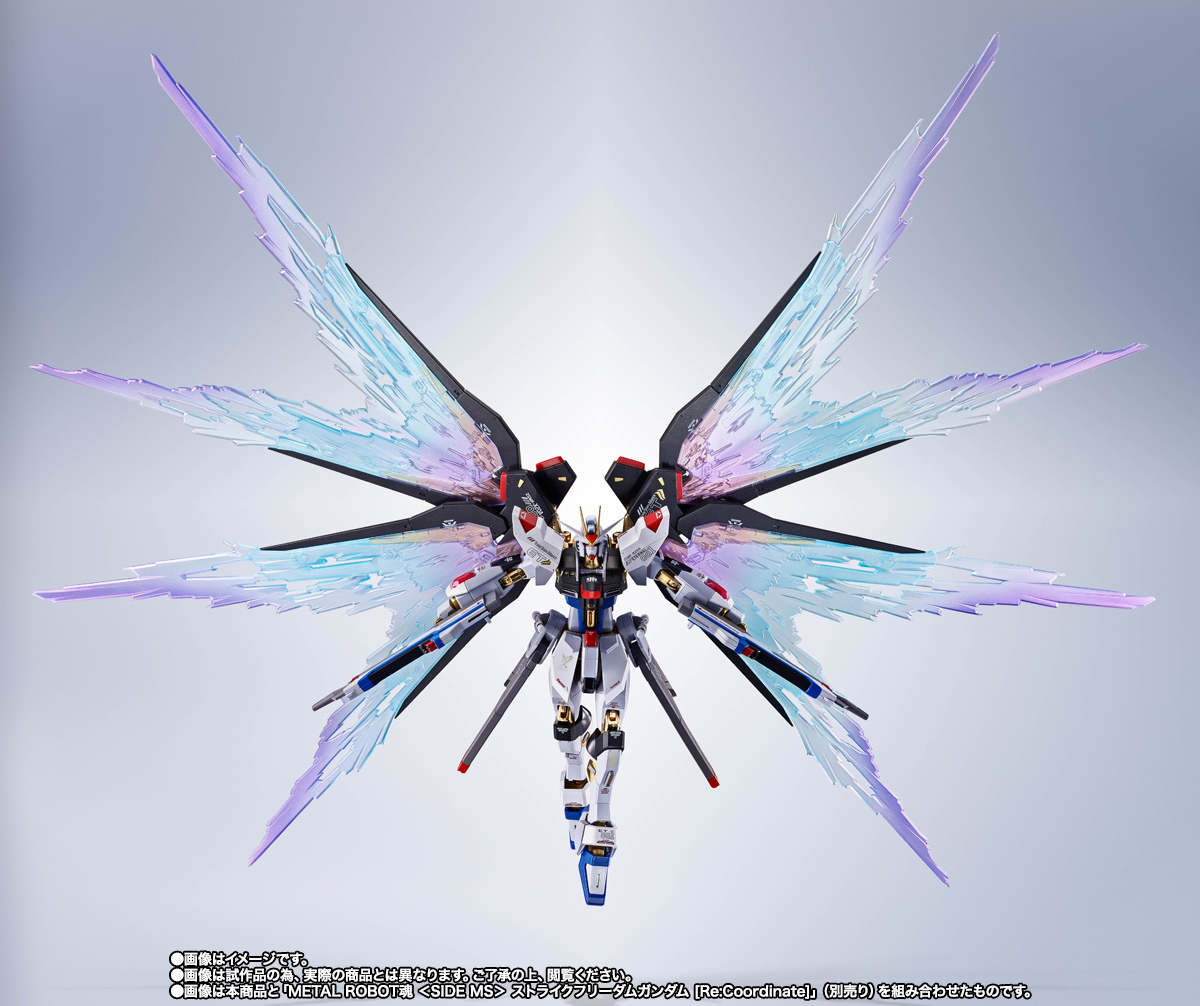 METAL ROBOT SPIRITS < SIDE MS > Strike FREEDOM GUNDAM [Re