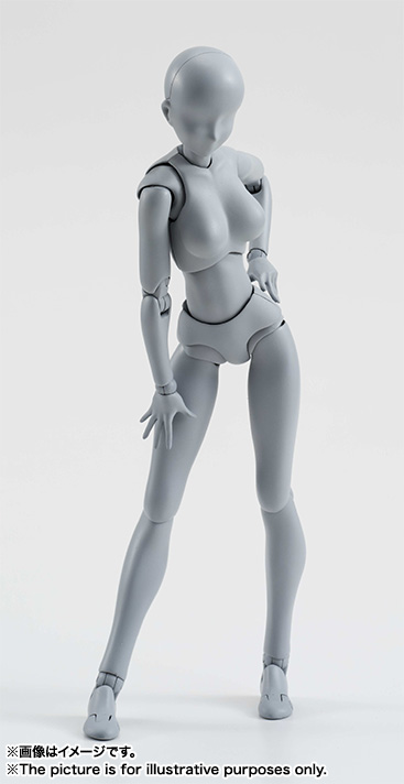 S.H.Figuarts ボディちゃん DX SET （Gray Color Ver.） | 魂ウェブ