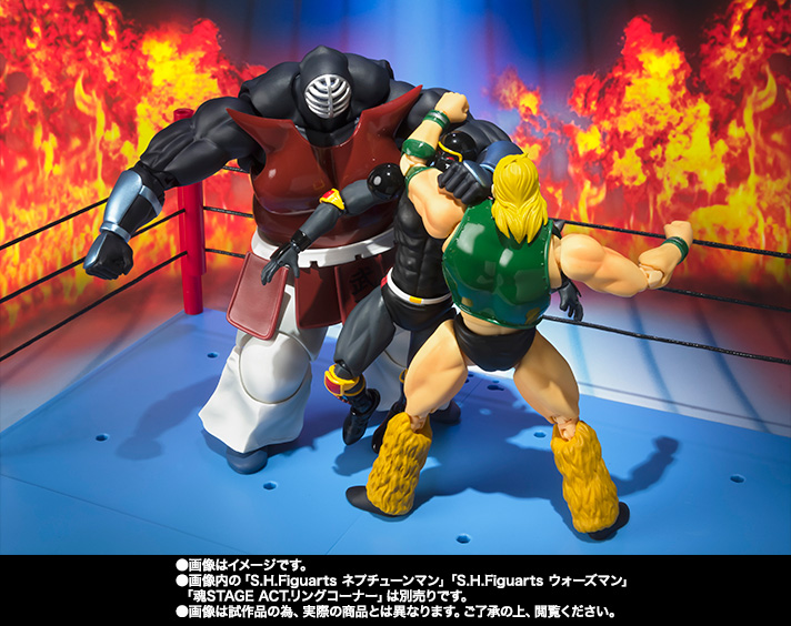 S.H.Figuarts ビッグ・ザ・武道│株式会社BANDAI SPIRITS（バンダイ