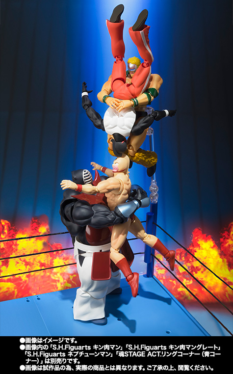 S.H.Figuarts ビッグ・ザ・武道│株式会社BANDAI SPIRITS（バンダイ