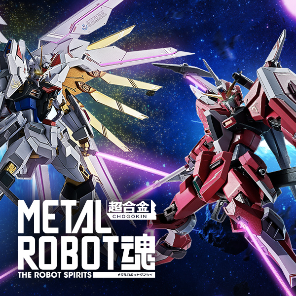 METAL ROBOT魂 ＜SIDE MS＞ デスティニーガンダムSpecII専用光の翼