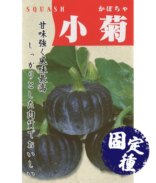東京芳香栗かぼちゃ（南瓜の種）【固定種】|固定種 在来種に強い 野菜