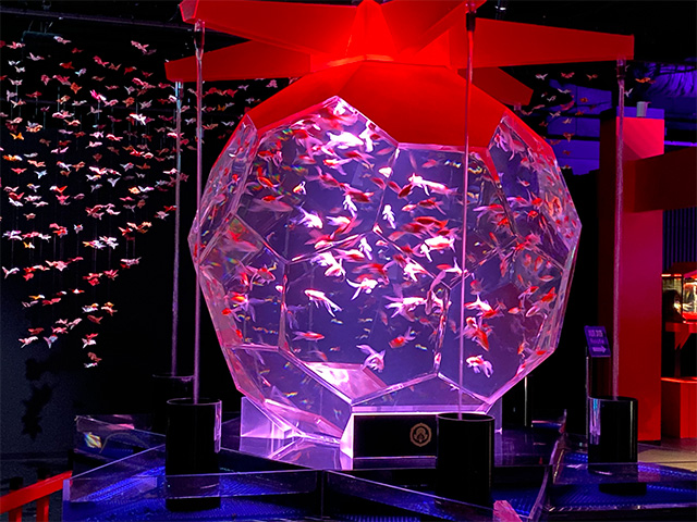 楽しいニュース.com