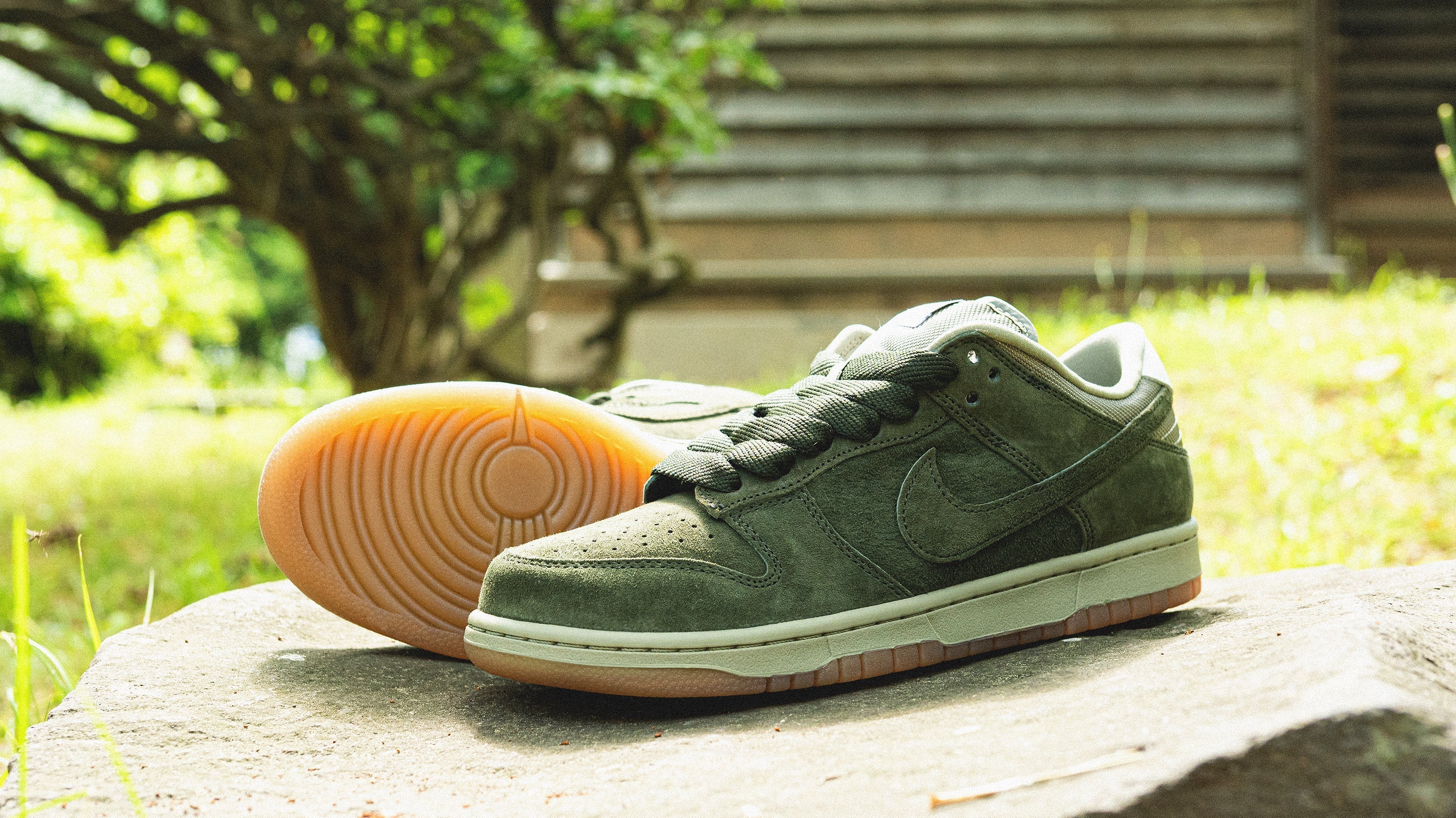 🌲 NIKE SB DUNK LOW PRO B 