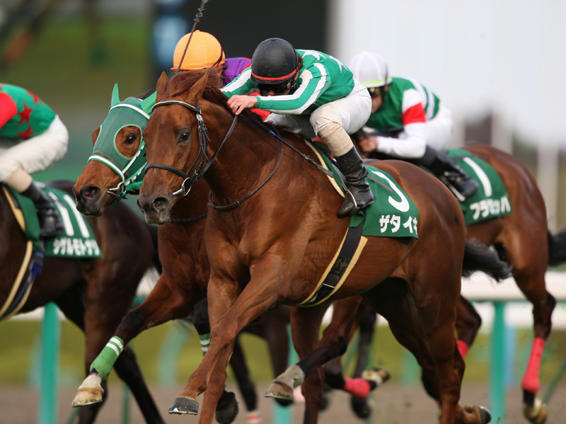 ザタイキ | 大樹レーシングクラブ公式サイト