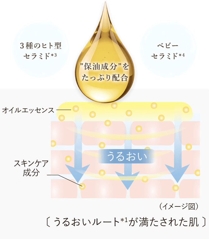 セット定期】オイル エッセンス45mL 2本セット(45mL×2本): TBトップ