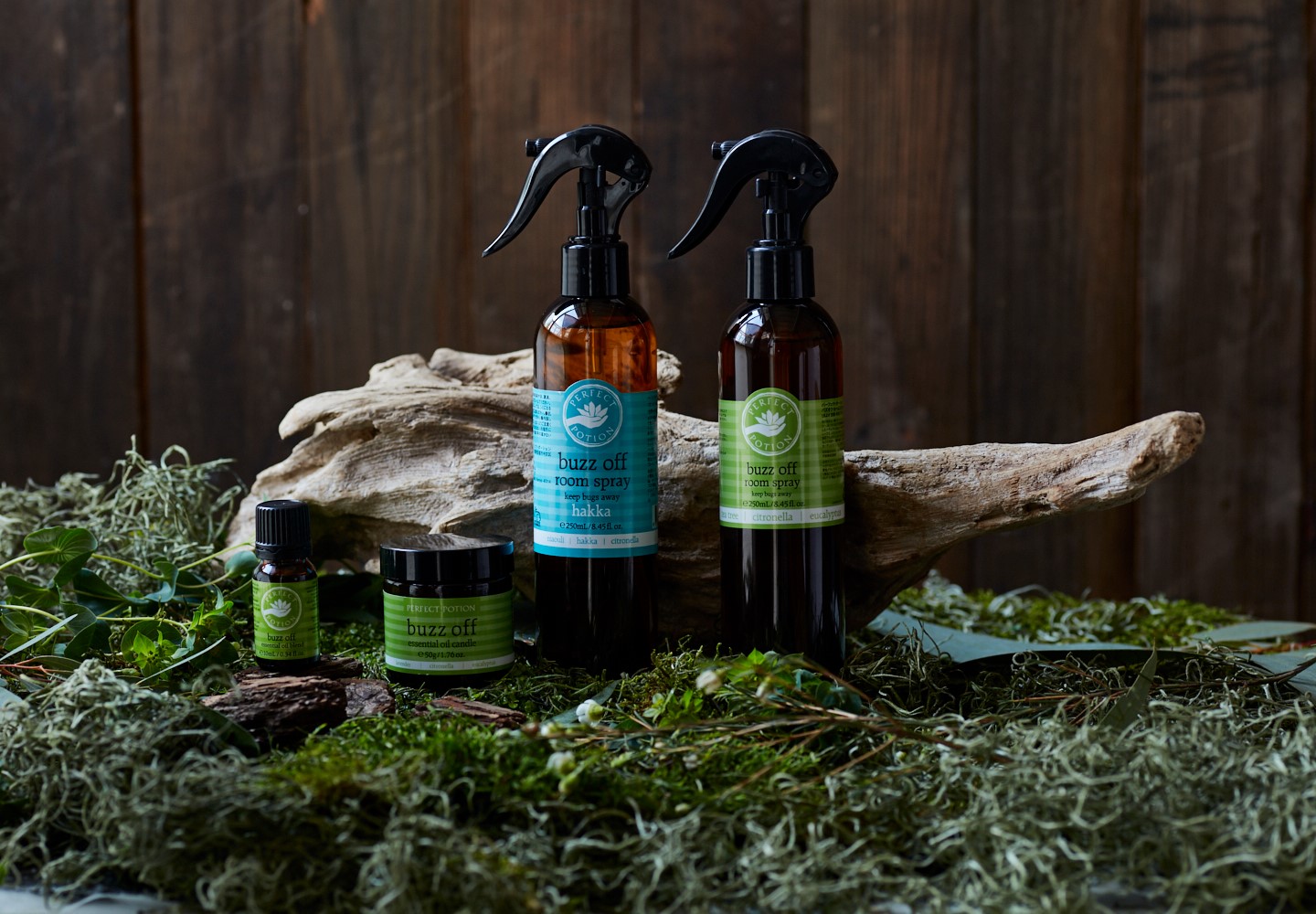 たかくらとくらす Takakura