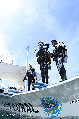 フィリピンから帰国しました。 | INTOTHEBLUE 水中写真家 越智隆治