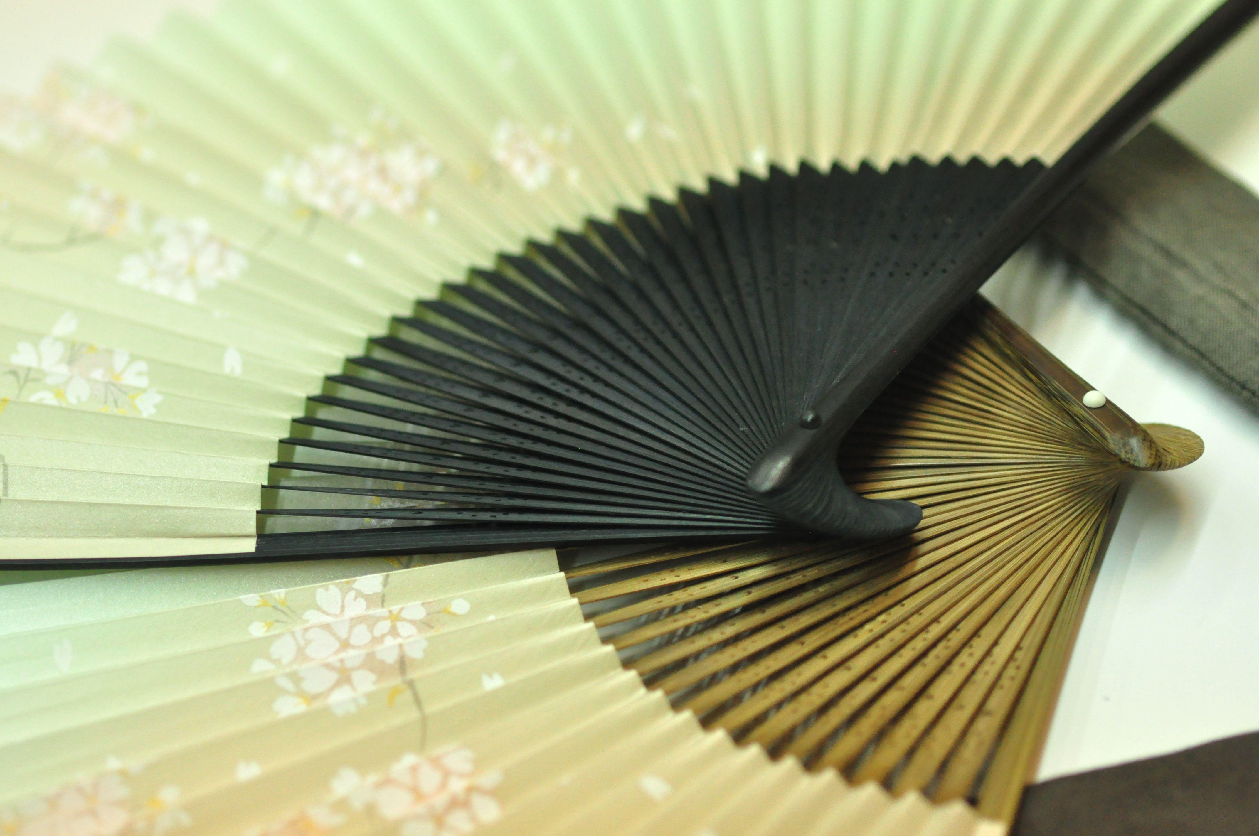 鈴木扇子店 | びわ湖高島観光ガイド