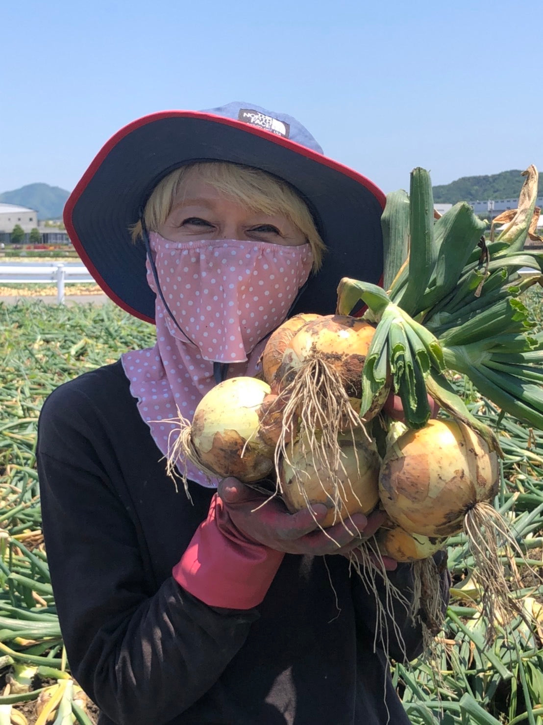 令和7年産 淡路島玉ねぎ 最高中生品種 ターザン – 淡路島のお米