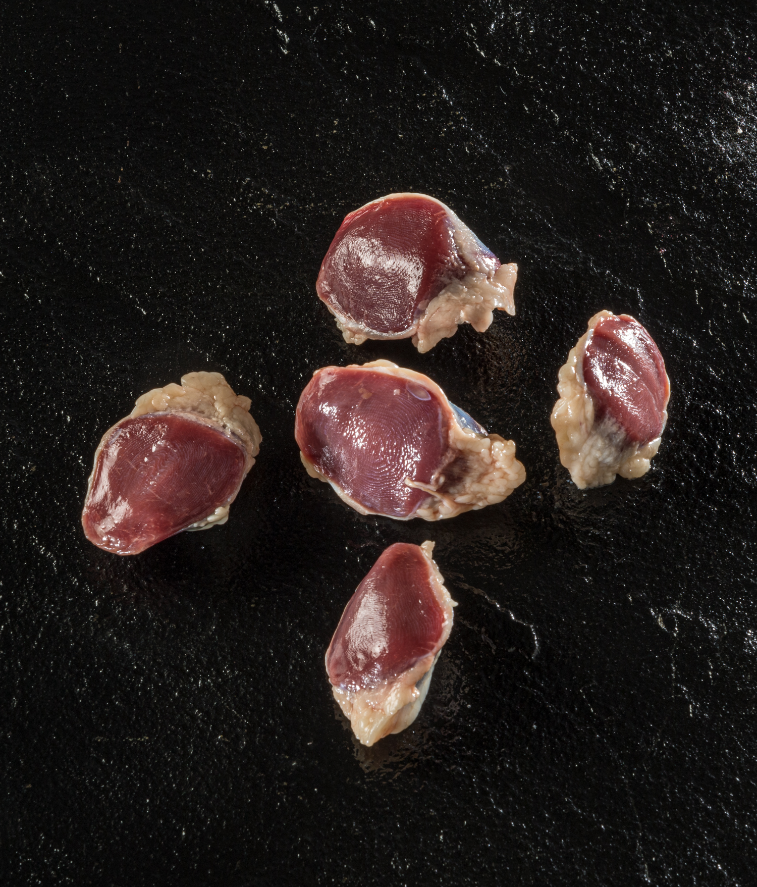 Buy Duck Gizzards Online | Joe Jurgielewicz & Son