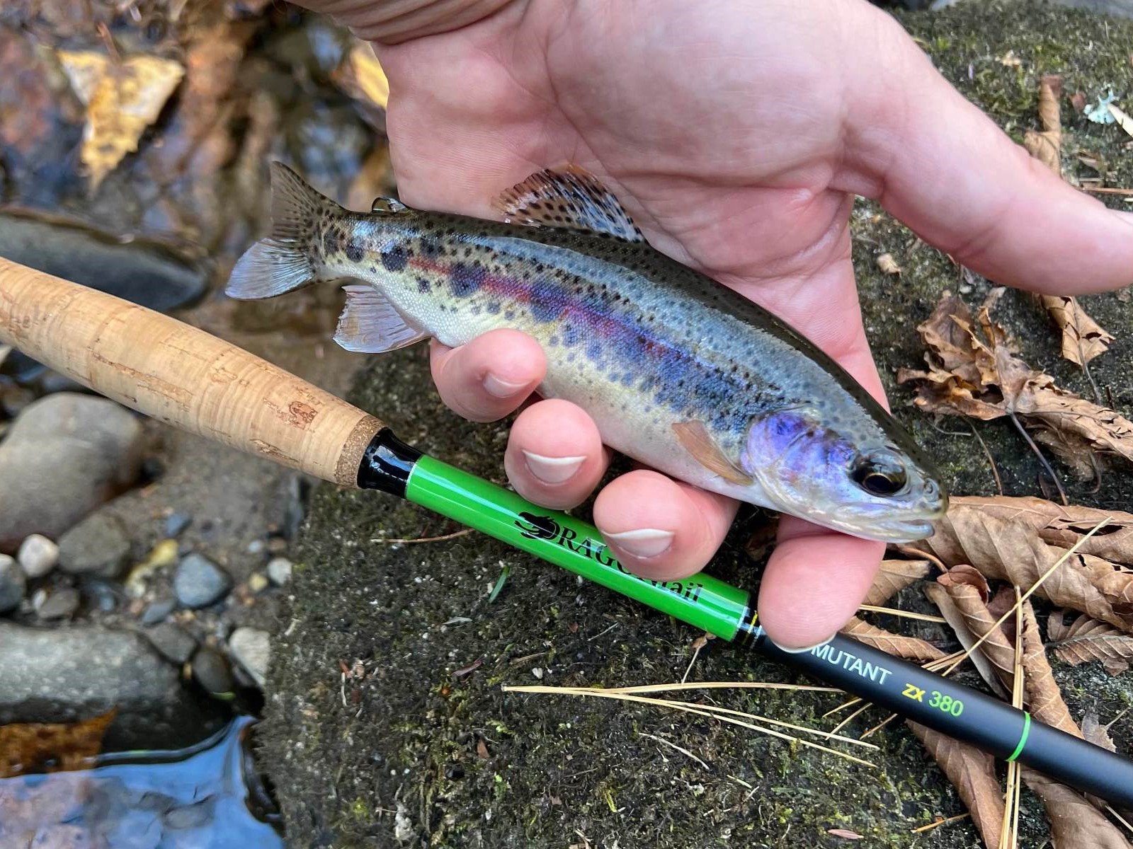 DRAGONtail Mutant zx380 Tenkara Rod Report and Review