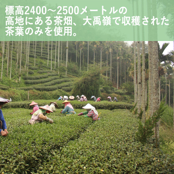 大禹岭高冷茶（茶葉 5g×6包） – 台湾烏龍茶 炭紀