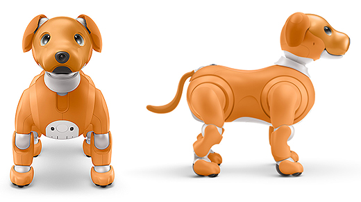 エンタテインメントロボット