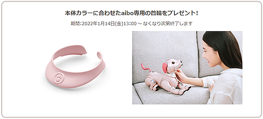 aiboに2022年ニューカラーモデル『aibo いちごミルク エディション』の