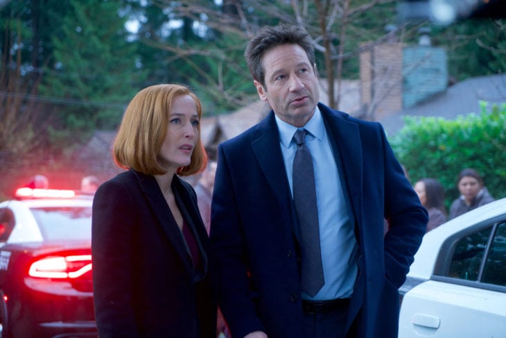 The X-Files: 10 Facts We Learned About David Duchovny and Gillian