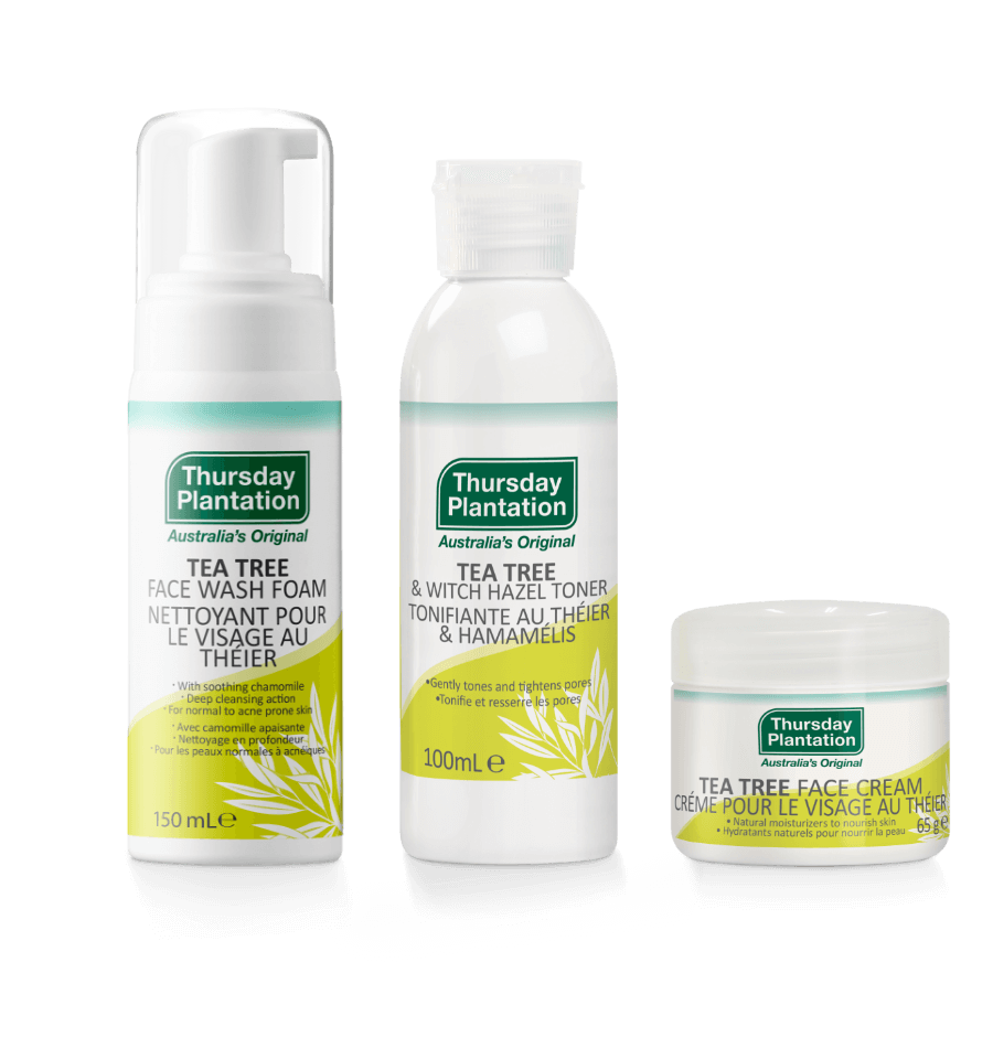 洗顔料 TER TREE ACNE CONTROL KIT Tea Tree Acne Control Kit