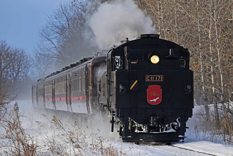 SL冬の湿原号、2024年は1月20日から運転開始！ JR北海道 | 旅と