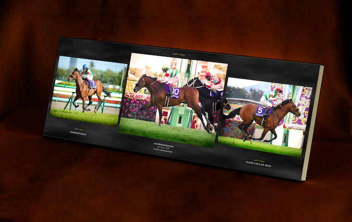 引退記念♦︎彫刻ワイン・ペアグラスセット♦︎エフフォーリア