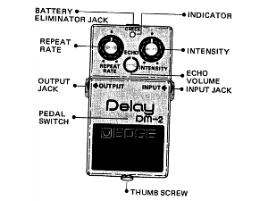BOSS DM-2: All You Need To Know - That Delay Pedal