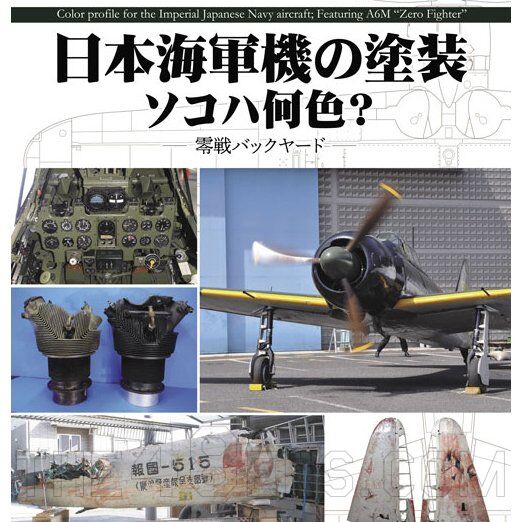 Color Profile for the Imperial Japanese Navy Aircraft featuring