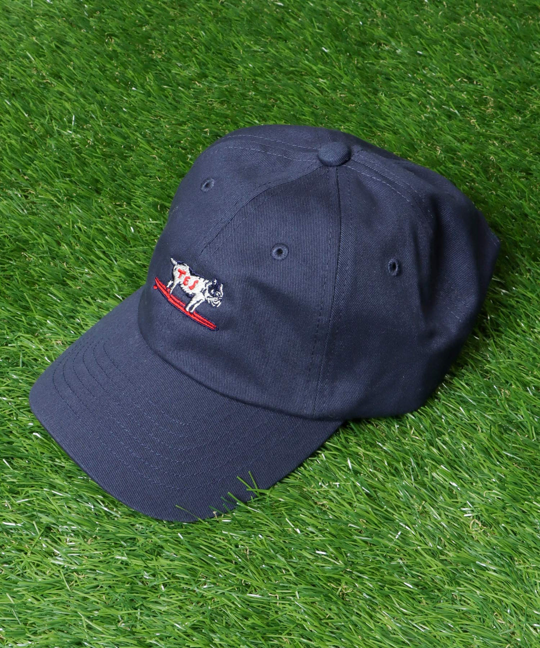 一部再入荷》[新カラー追加] TES HUNTINGTON LOW CAP / キャップ – TES