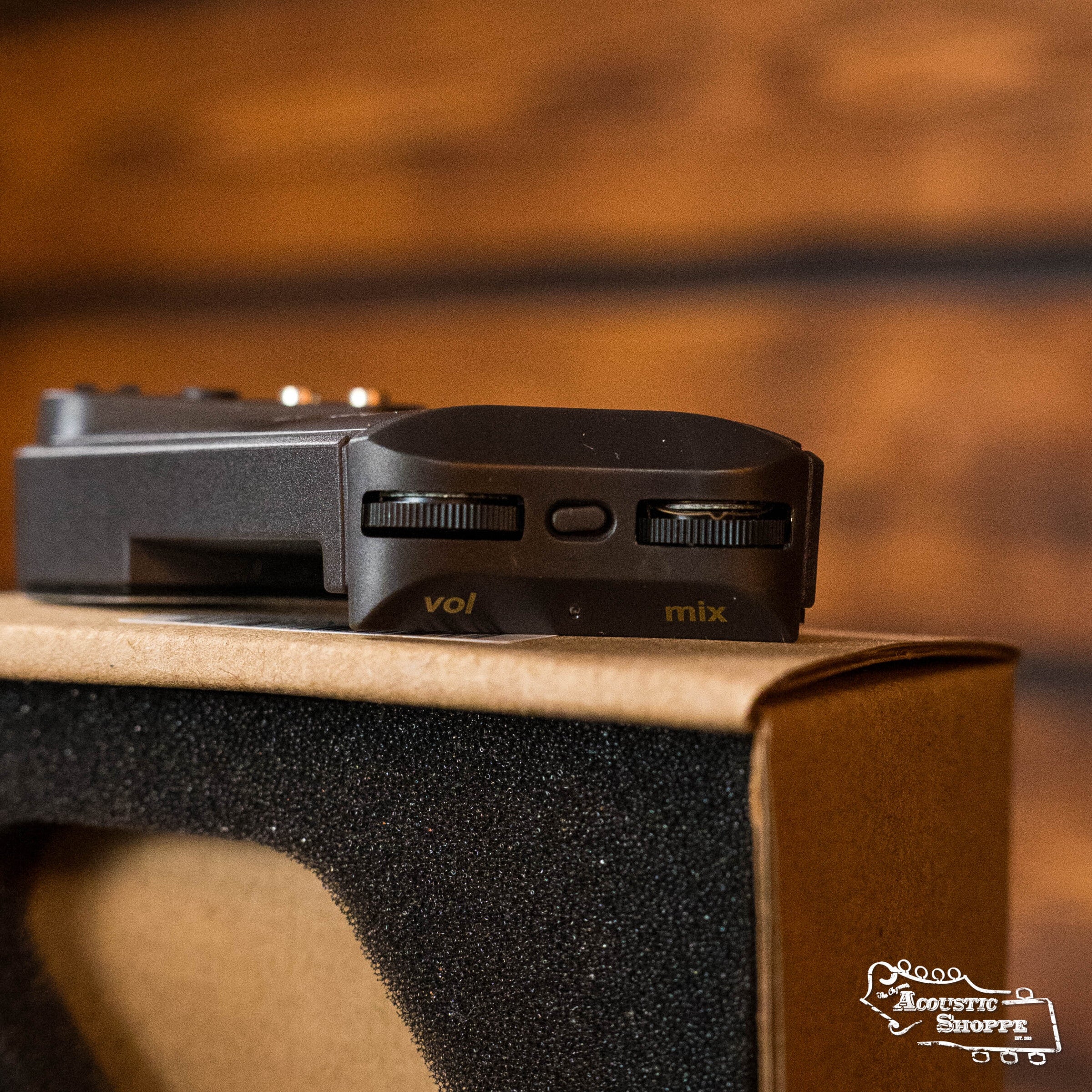 L.R. Baggs HiFi Duet