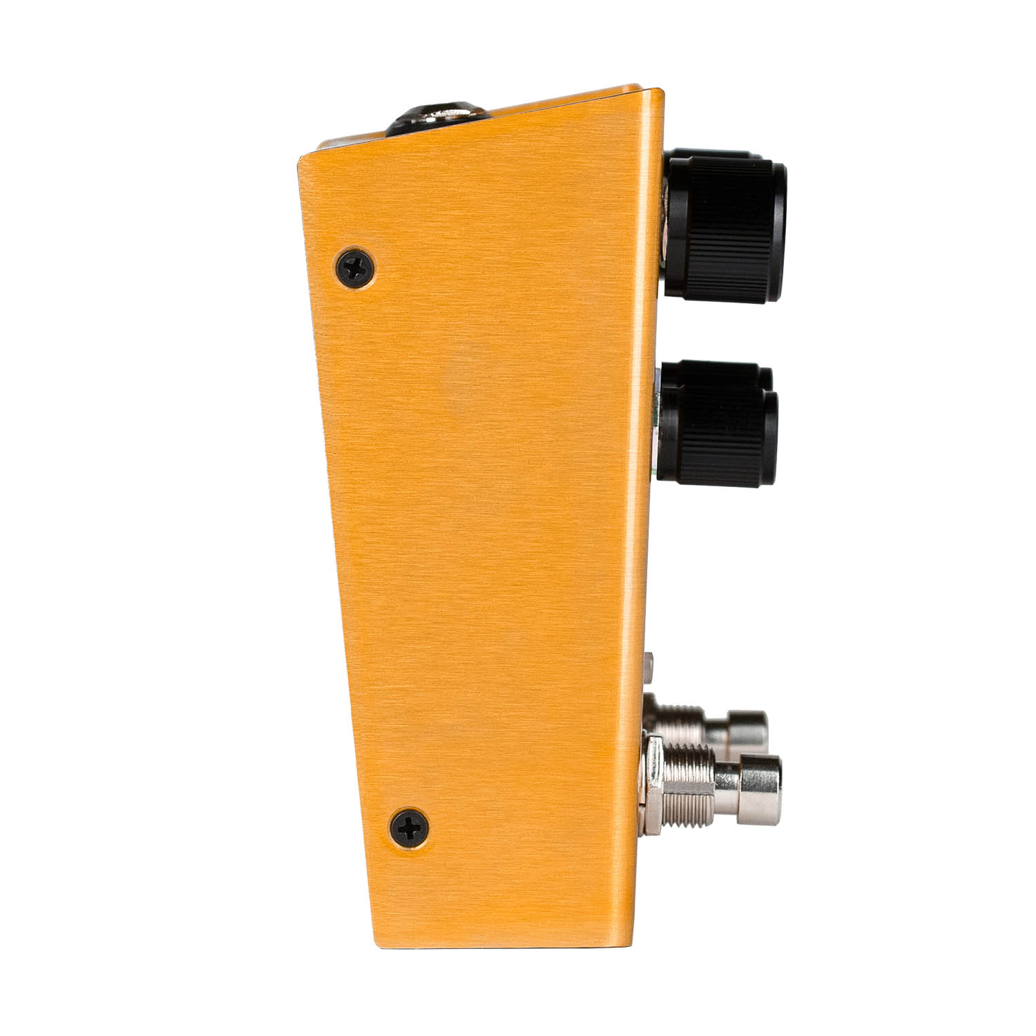 Meris Enzo | The Pedal Zone