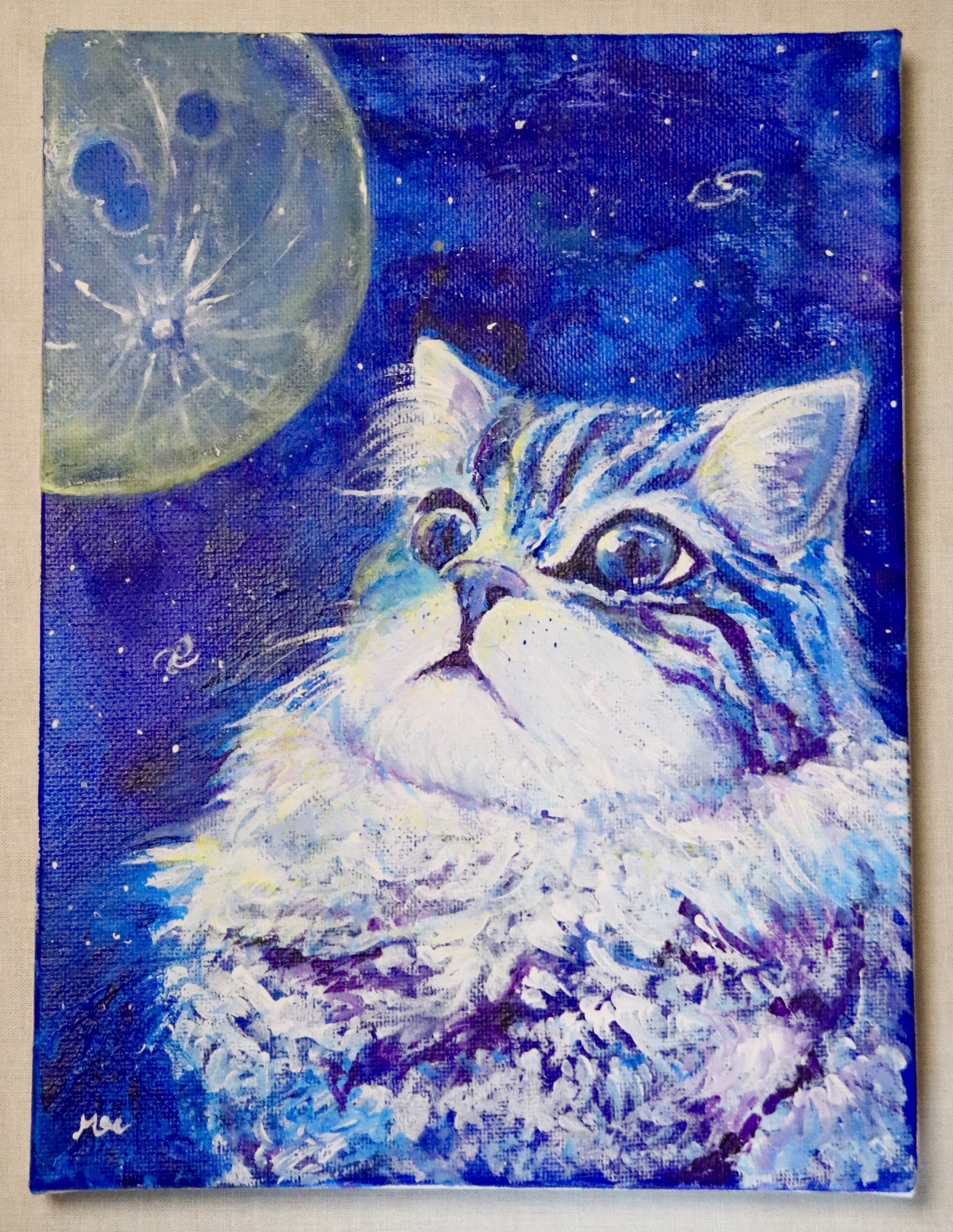 宇宙見るネコ(soramiruneko) | moedon ｜インテリア絵画 アートの専門