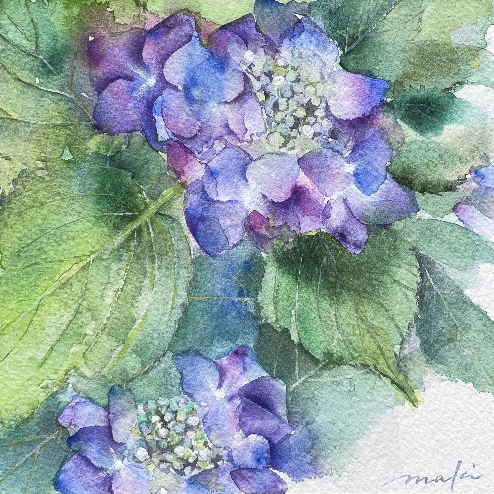 額紫陽花 | Maki Miyagawa ｜インテリア絵画 アートの専門通販