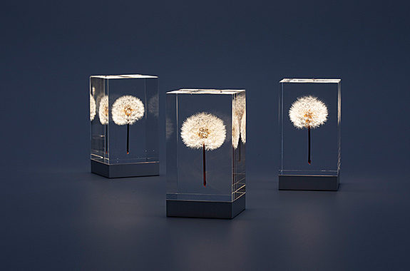 TAMPOPO LIGHT | THT Japan