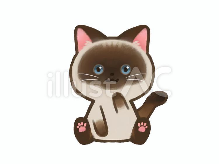 座っているシャム猫イラスト - No: 22978647｜無料イラスト・フリー
