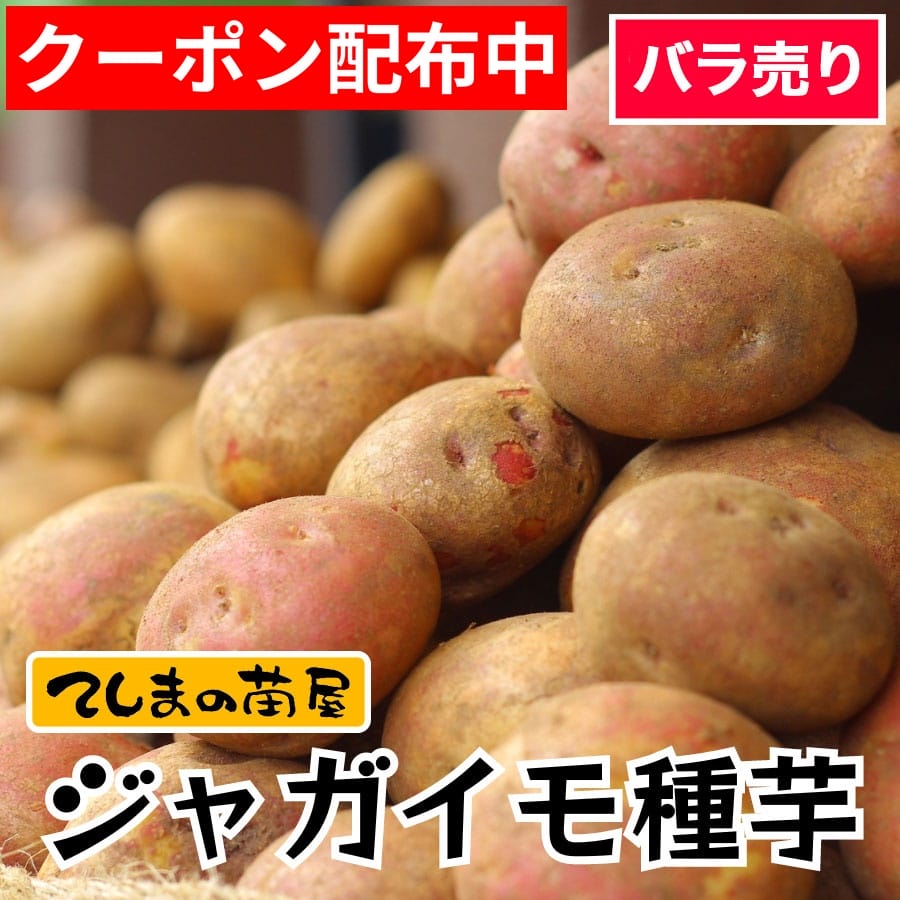 楽天市場】じゃがいも レッドムーン 種芋の通販