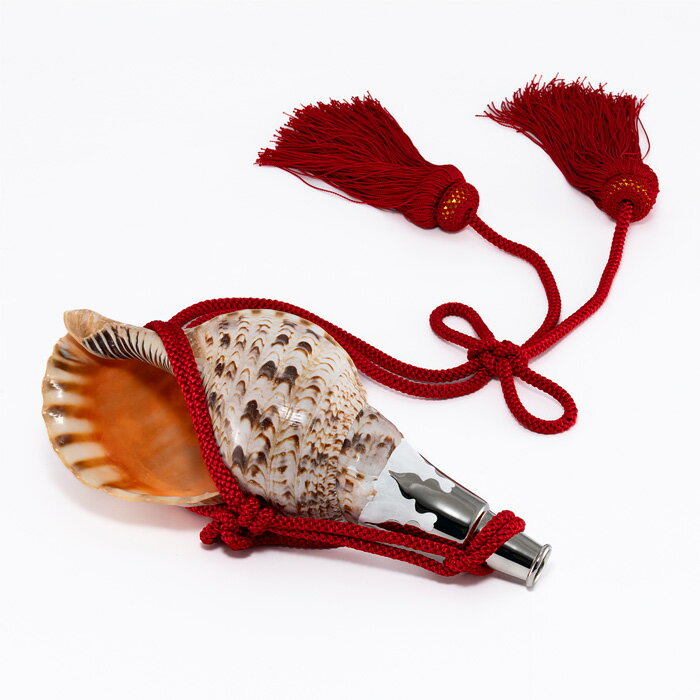 楽天市場】密教法螺貝の通販