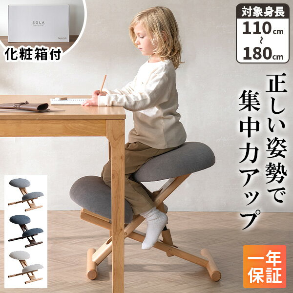 楽天市場】バランスチェア イージー サカモトハウスの通販