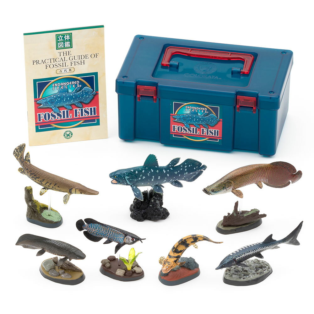 楽天市場】グッズ アジアアロワナの通販