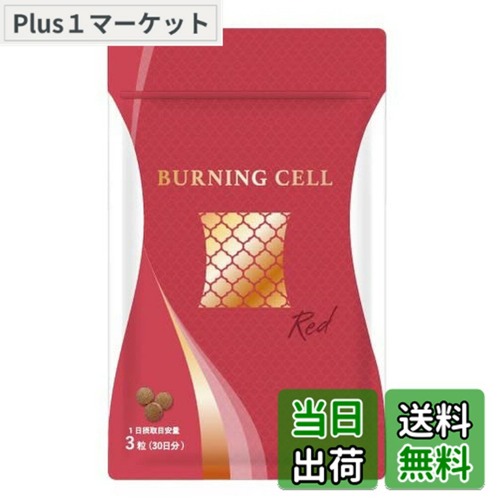 楽天市場】バーニング セルの通販