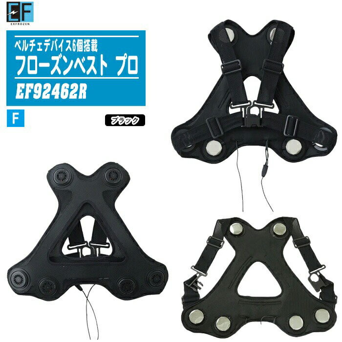 楽天市場】フローズンベストの通販