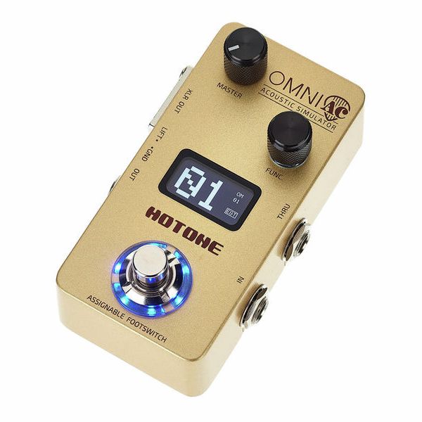 Hotone Omni AC Acoustic Simulator – United States