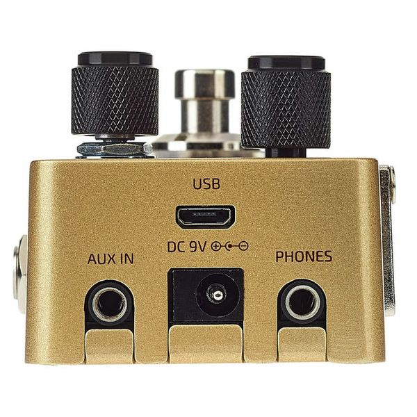 Hotone Omni AC Acoustic Simulator – United States