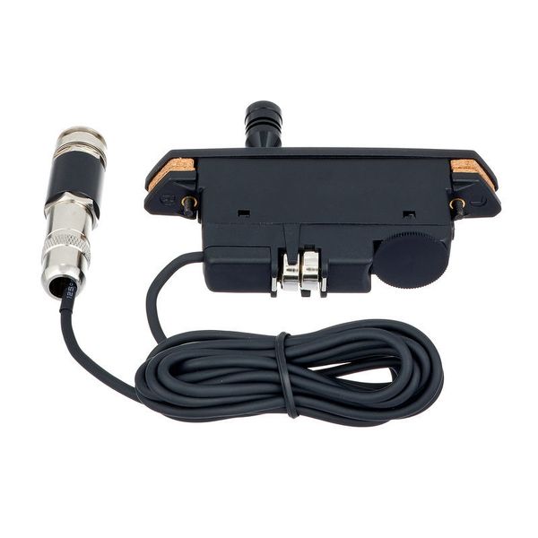 Fishman Rare Earth Mic Blend – United States