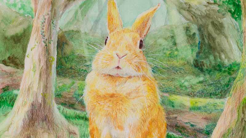 森のうさぎさんを描きました。水彩。｜木彫りうさぎのパパ。ティムのブログ