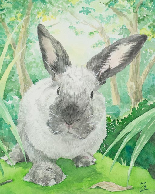 ストラスモアインペリアル水彩紙をレビューしてみます。｜木彫りうさぎ