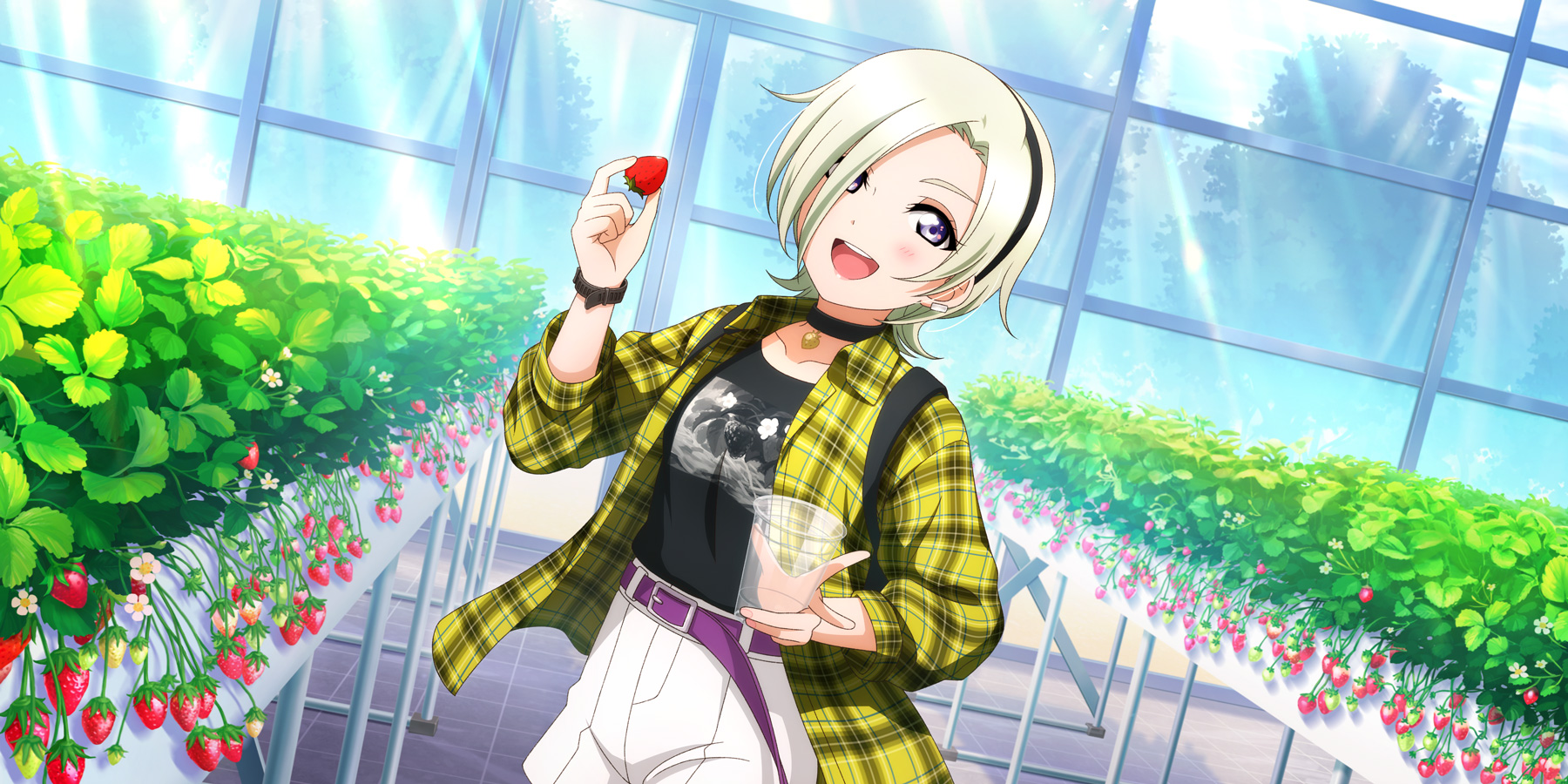 654: Mia Taylor - All Stars