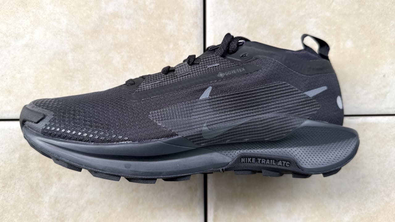 レビュー】Nike ペガサストレイル 5 GTX：美しすぎる防水トレラン