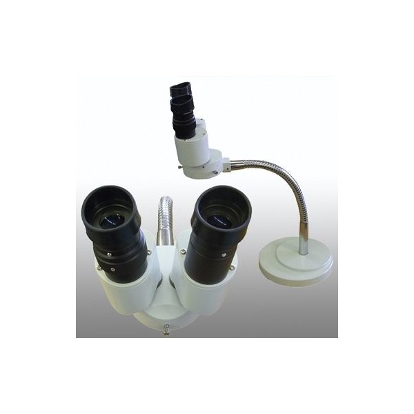 フレキシブル双眼実体顕微鏡 NS-800 – Tool Shop Vulcan