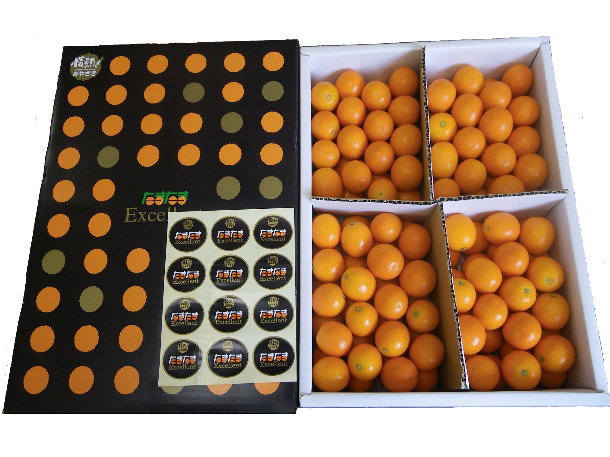 宮崎県産 最上級 A品 高級手詰め 完熟きんかん たまたまエクセレント