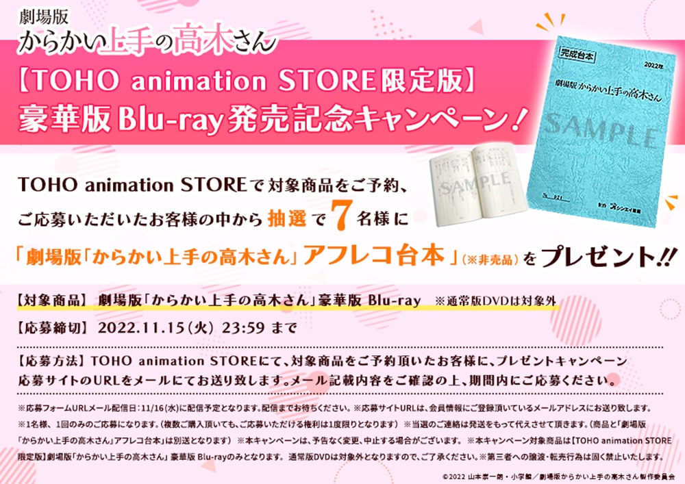 公式オンラインストア【TOHO animation STORE 限定版】劇場版