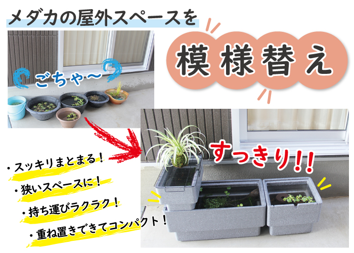 メダカ専用 冬眠・繁殖発泡ケース (S) 【専用フタ別売】 | 杜若園芸