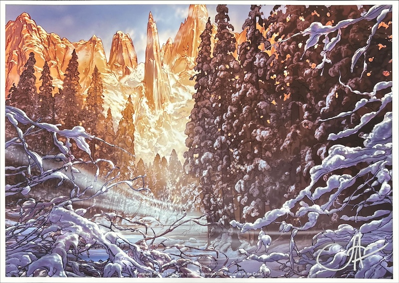 MTG専門店|東京MTG】MTGカード・アート通販サイト